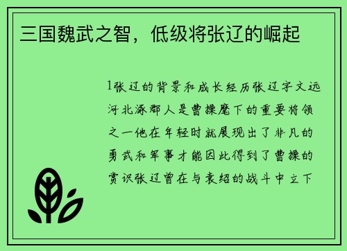 三国魏武之智，低级将张辽的崛起